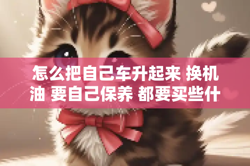 怎么把自己车升起来 换机油 要自己保养 都要买些什么材料 换啊