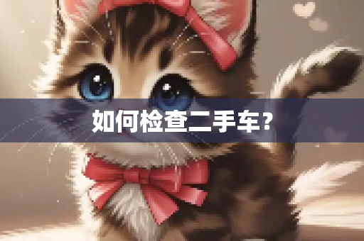 如何检查二手车？