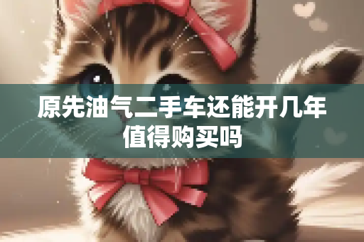 原先油气二手车还能开几年值得购买吗