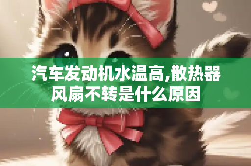 汽车发动机水温高,散热器风扇不转是什么原因