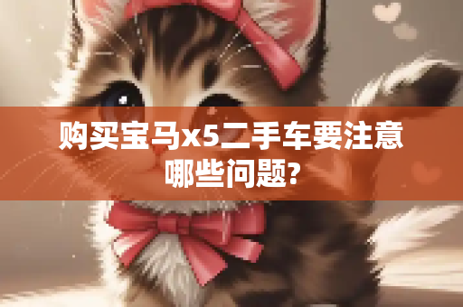 购买宝马x5二手车要注意哪些问题?
