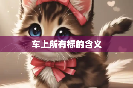 车上所有标的含义