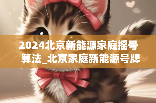 2024北京新能源家庭摇号  算法_北京家庭新能源号牌下来了去哪办理