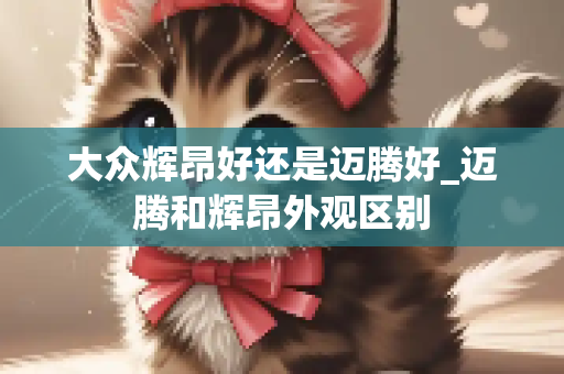 大众辉昂好还是迈腾好_迈腾和辉昂外观区别