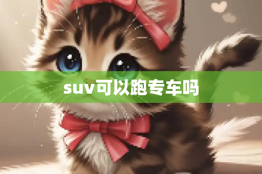 suv可以跑专车吗