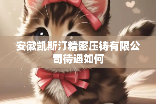 安徽凯斯汀精密压铸有限公司待遇如何