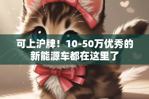 可上沪牌！10-50万优秀的新能源车都在这里了