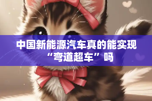 中国新能源汽车真的能实现“弯道超车”吗