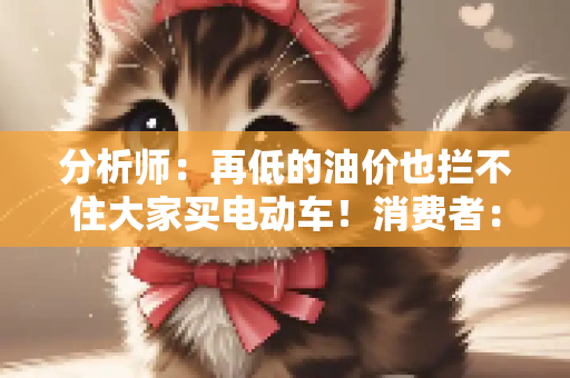 分析师：再低的油价也拦不住大家买电动车！消费者：专家买我就买