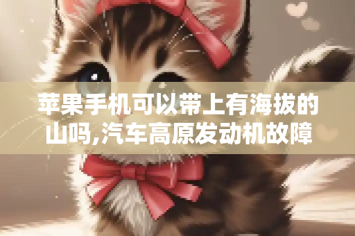 苹果手机可以带上有海拔的山吗,汽车高原发动机故障灯闪烁