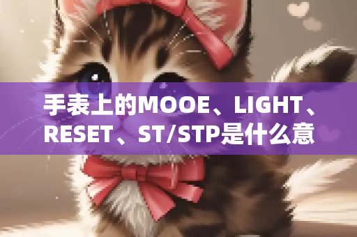 手表上的MOOE、LIGHT、RESET、ST/STP是什么意思？
