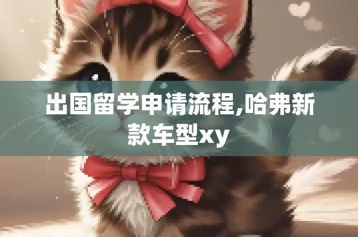 出国留学申请流程,哈弗新款车型xy