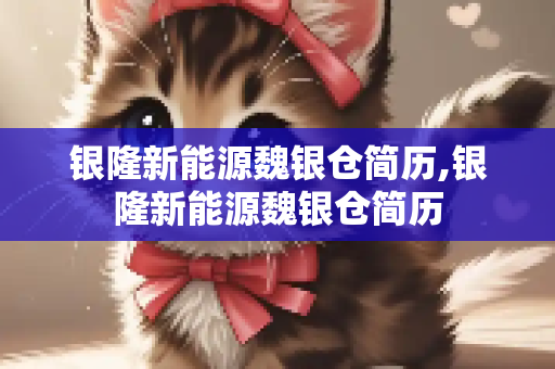 银隆新能源魏银仓简历,银隆新能源魏银仓简历