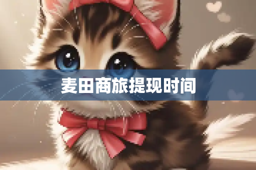 麦田商旅提现时间
