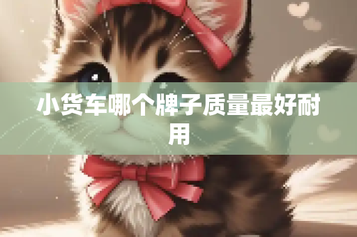 小货车哪个牌子质量最好耐用