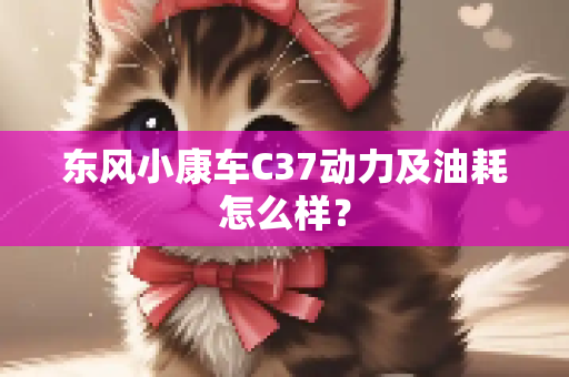 东风小康车C37动力及油耗怎么样？