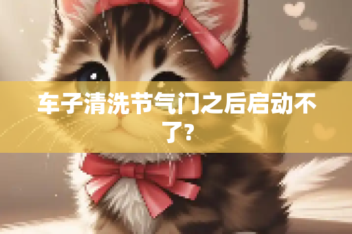 车子清洗节气门之后启动不了?