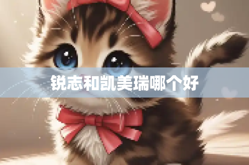 锐志和凯美瑞哪个好