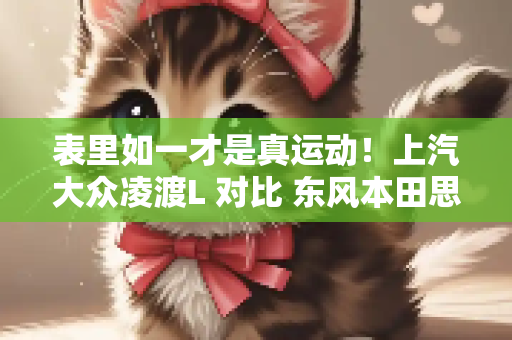 表里如一才是真运动！上汽大众凌渡L 对比 东风本田思域