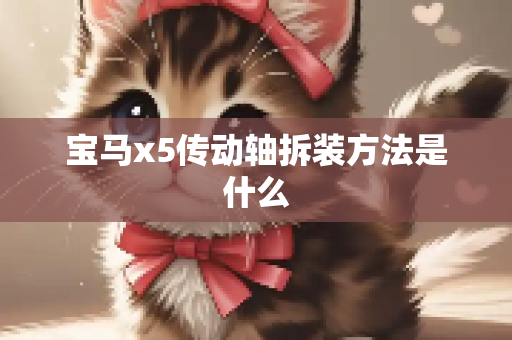 宝马x5传动轴拆装方法是什么