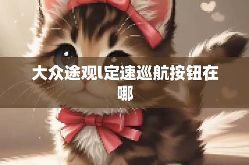 大众途观l定速巡航按钮在哪