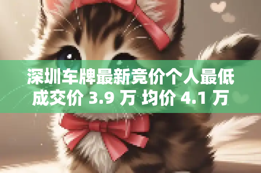 深圳车牌最新竞价个人最低成交价 3.9 万 均价 4.1 万