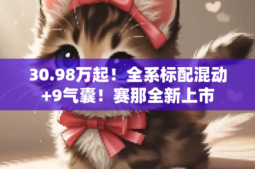 30.98万起！全系标配混动+9气囊！赛那全新上市