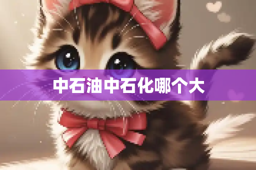 中石油中石化哪个大