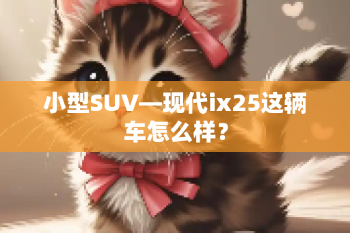 小型SUV—现代ix25这辆车怎么样？