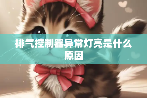 排气控制器异常灯亮是什么原因