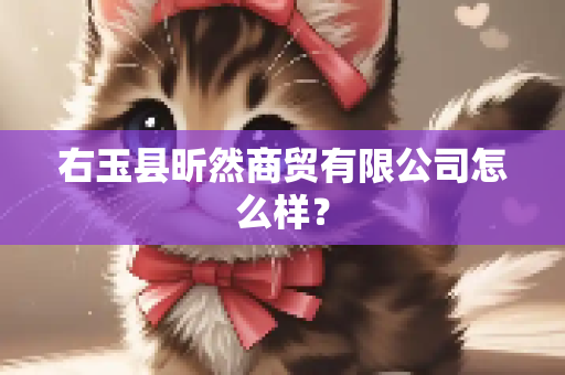 右玉县昕然商贸有限公司怎么样？