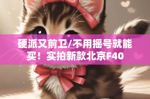 硬派又前卫/不用摇号就能买！实拍新款北京F40