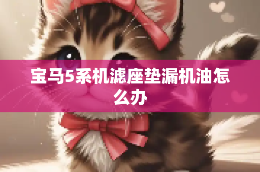 宝马5系机滤座垫漏机油怎么办