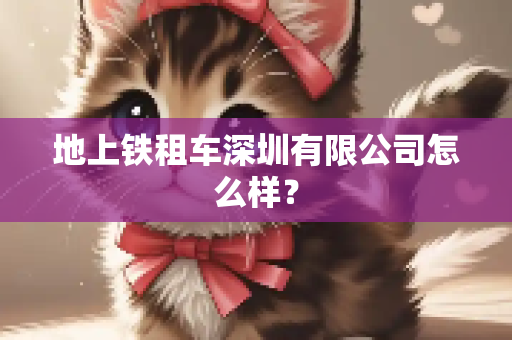 地上铁租车深圳有限公司怎么样？