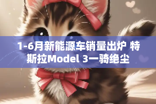 1-6月新能源车销量出炉 特斯拉Model 3一骑绝尘