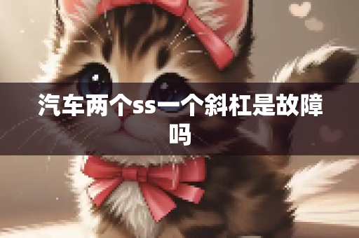 汽车两个ss一个斜杠是故障吗