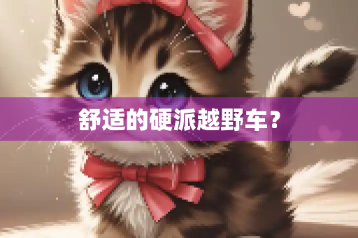 舒适的硬派越野车？