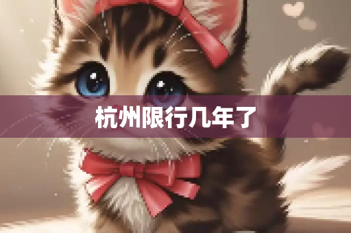杭州限行几年了