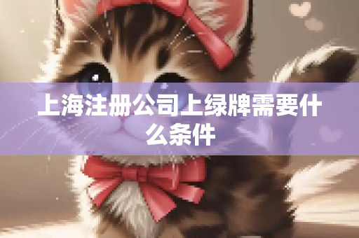 上海注册公司上绿牌需要什么条件