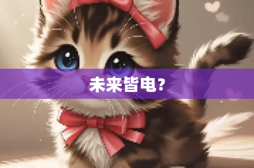 未来皆电？