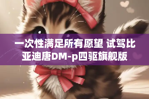 一次性满足所有愿望 试驾比亚迪唐DM-p四驱旗舰版