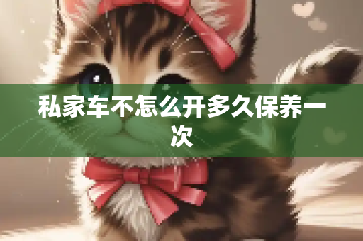 私家车不怎么开多久保养一次