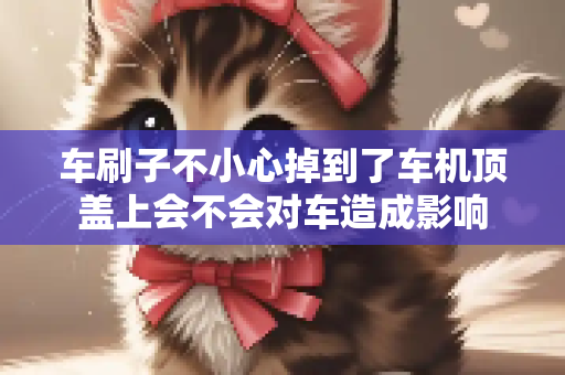 车刷子不小心掉到了车机顶盖上会不会对车造成影响