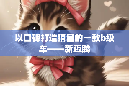 以口碑打造销量的一款b级车——新迈腾