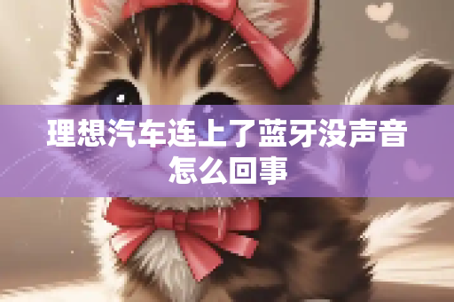 理想汽车连上了蓝牙没声音怎么回事