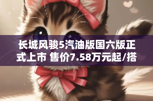 长城风骏5汽油版国六版正式上市 售价7.58万元起/搭载2.4L发动机