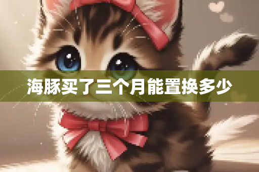 海豚买了三个月能置换多少