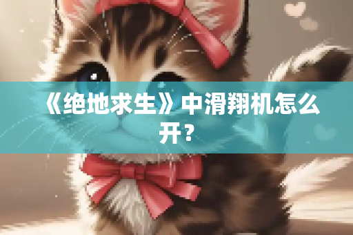 《绝地求生》中滑翔机怎么开？