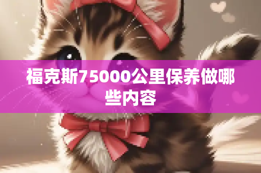 福克斯75000公里保养做哪些内容