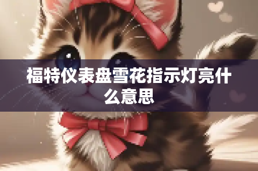 福特仪表盘雪花指示灯亮什么意思